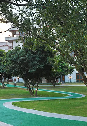 Green spaces