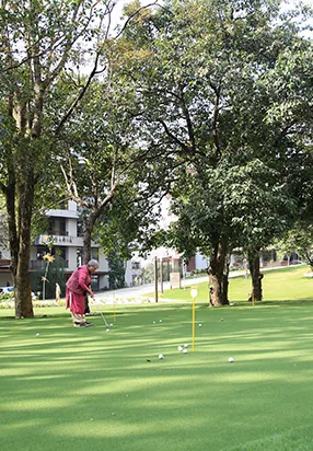 Golf Putting