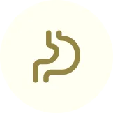 Gut