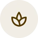 Promotes Overall Wellbeing